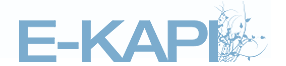 E-Kapi Logo